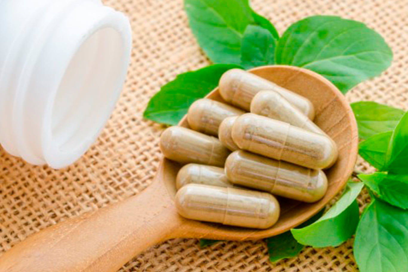 Liver Injury from Herbal and Dietary Supplements An Introduction